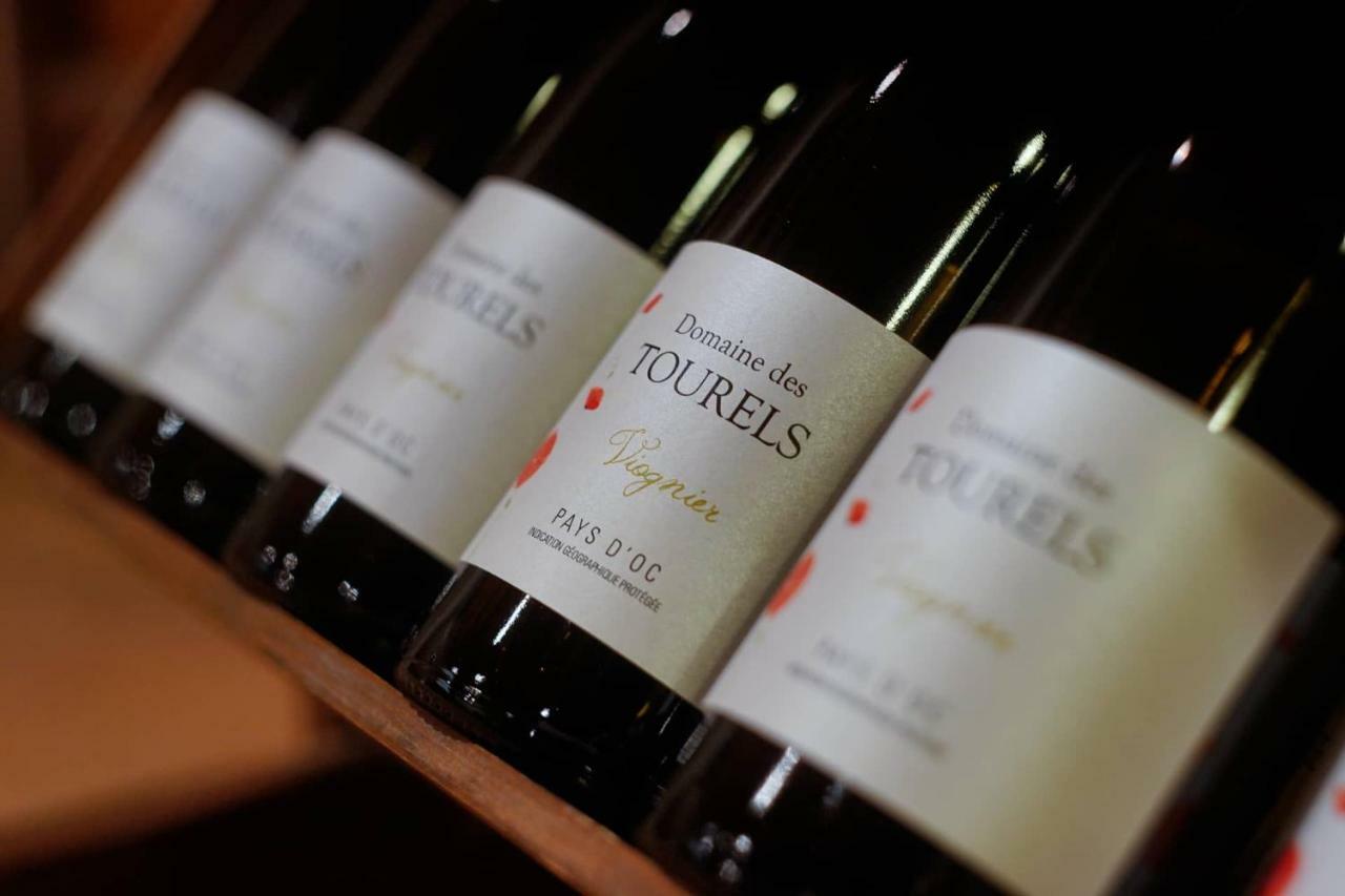 La Maison Grenadine Pres Du Canal Du Midi Tourouzelle Eksteriør bilde